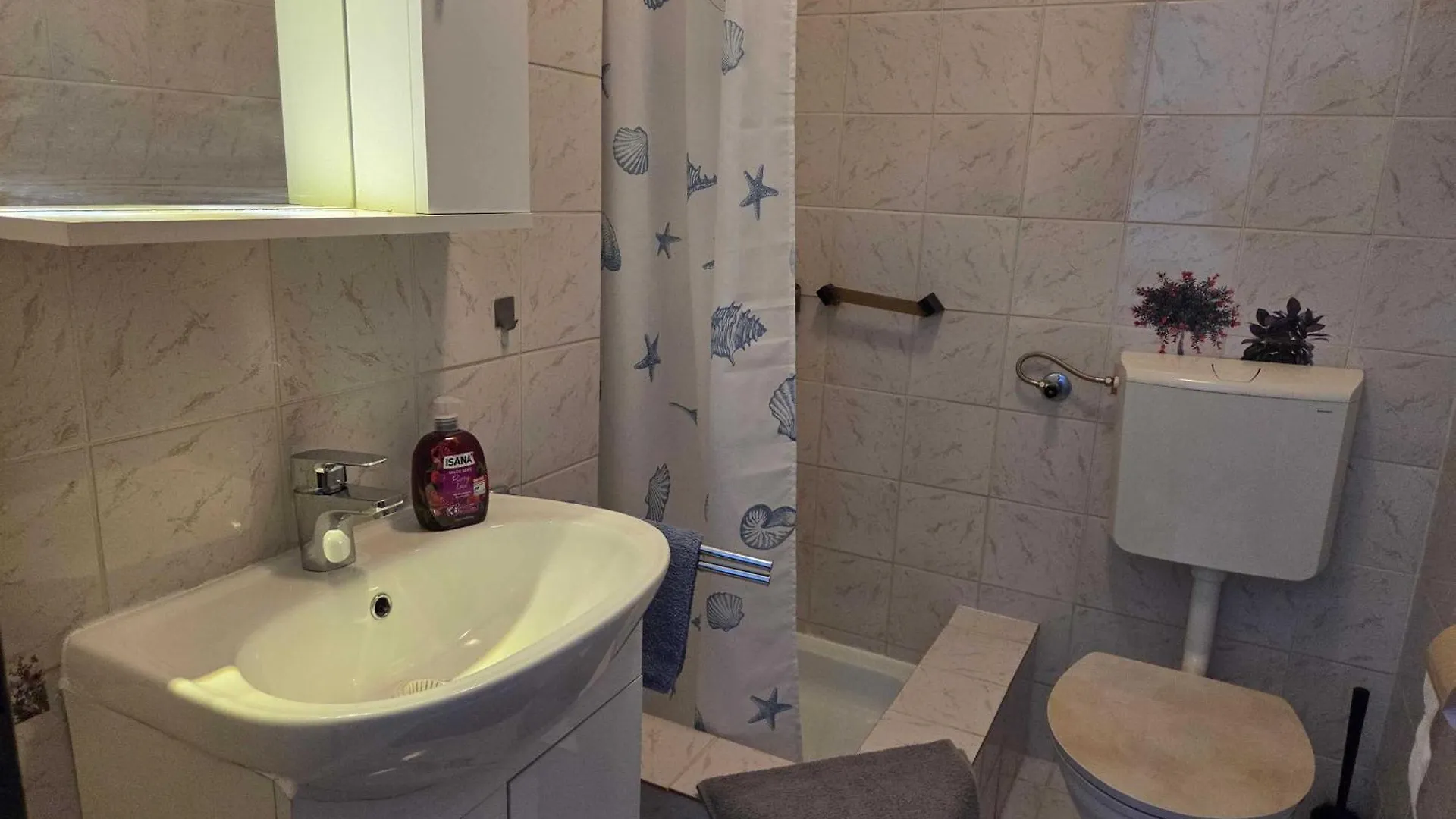 Apartments Pavic مالينسكا